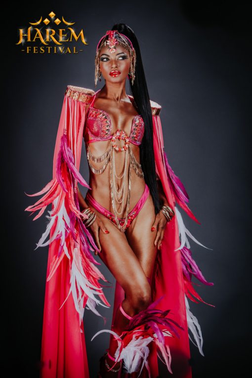 Trinidad Carnival 2020 Harem Carnival