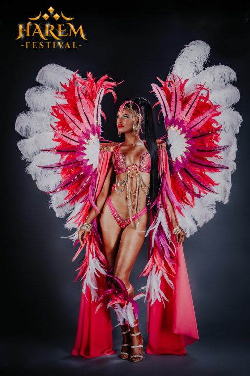 Trinidad Carnival 2020 Harem Carnival