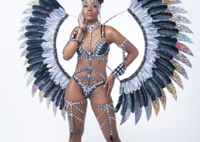 Carnival Costumes from Trinidad, Miami, Barbados and many more