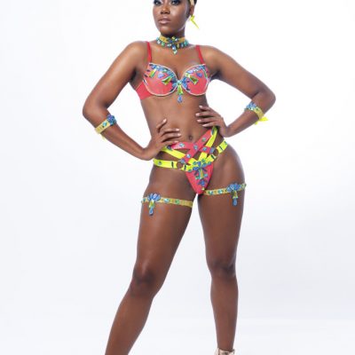 Feteratmas trinidad Carnival 2020 Treasure Chest - Backline