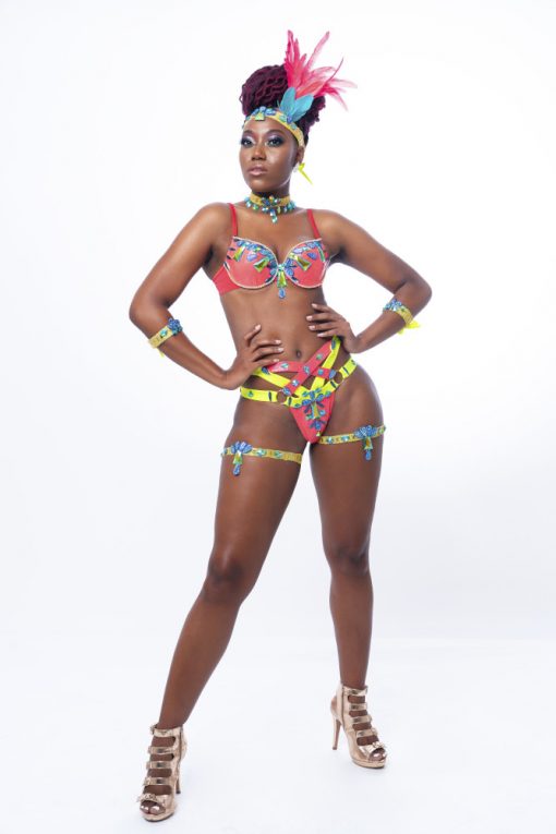 Feteratmas trinidad Carnival 2020 Treasure Chest - Backline