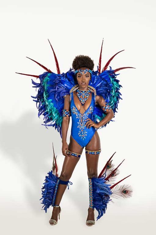 fusion carnival trinidad carnival 2020