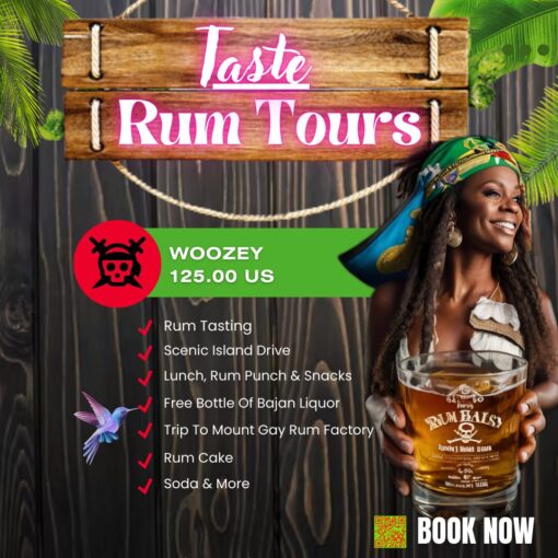 Rum Tour Barbados Woozy