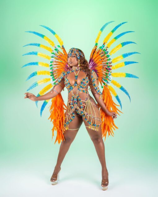 minokawa small backpack costume Anguilla Summer Festival