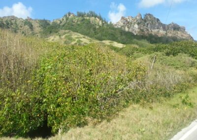 Nature Hike and Tour