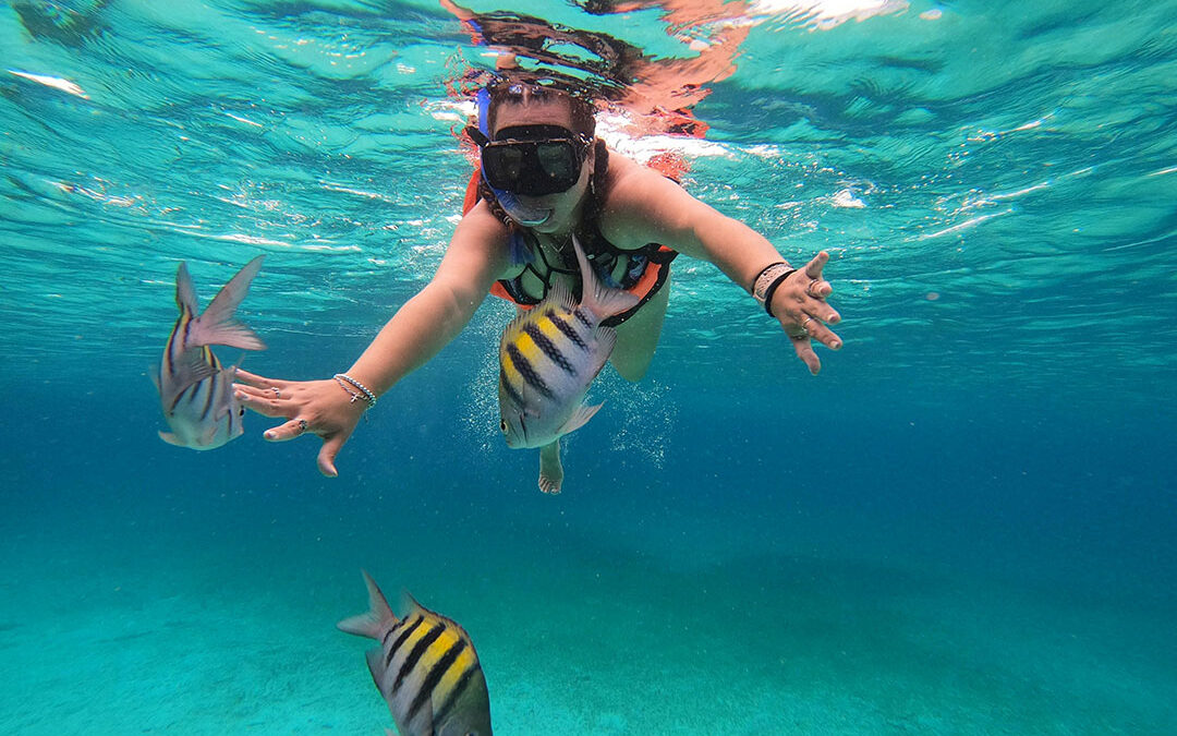 Some of the best snorkeling tours in the caribbean, islandzest