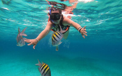 Top Caribbean Island Snorkeling Tours for Adventure Seekers