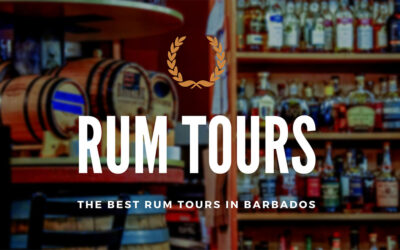 The Best Rum Tours in Barbados